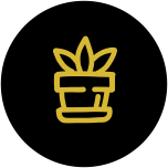 Training & Education