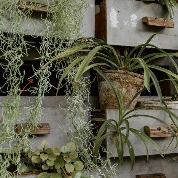 Outdoor Landscape Design Ideas2.jpg