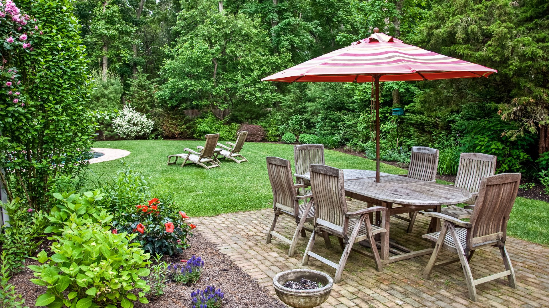 backyard. 