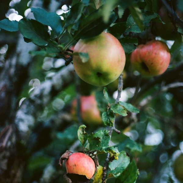 Outdoor Landscape Design Ideas8.jpg